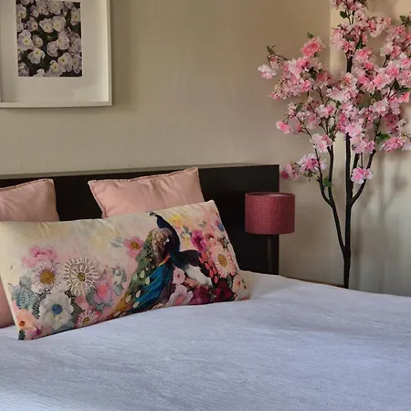 Boutique Hotel De Raetskamer-3